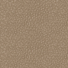 61004/58/62 : 61004S1