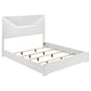 Ives Queen Panel Bed LED Headboard White High Gloss