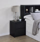 Westpark 2-drawer Nightstand LED Lights and USB Black
